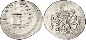 Coin image